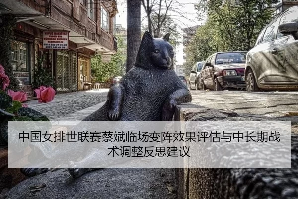 中国女排世联赛蔡斌临场变阵效果评估与中长期战术调整反思建议