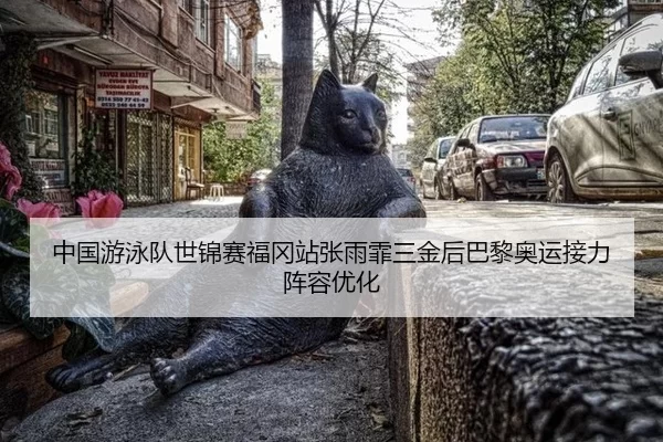 zhong-guo-you-yong-dui-shi-jin-sai-fu-gang-zhan-zhang-yu-fei-san-jin-hou-ba-li-ao-yun-jie-li-zhen-rong-you-hua-2-135.jpg